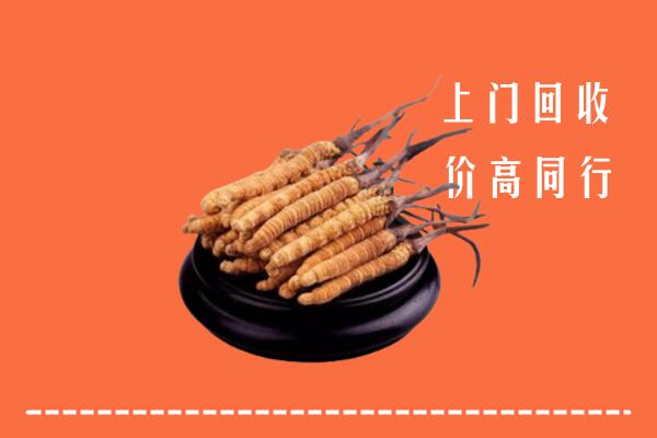 高价求购：库伦旗回收散虫草
