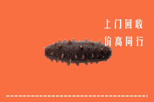 高价求购：库伦旗回收海参