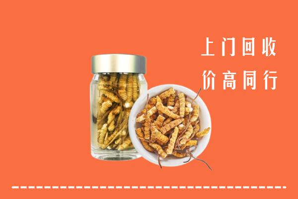 库伦旗回收冬虫夏草